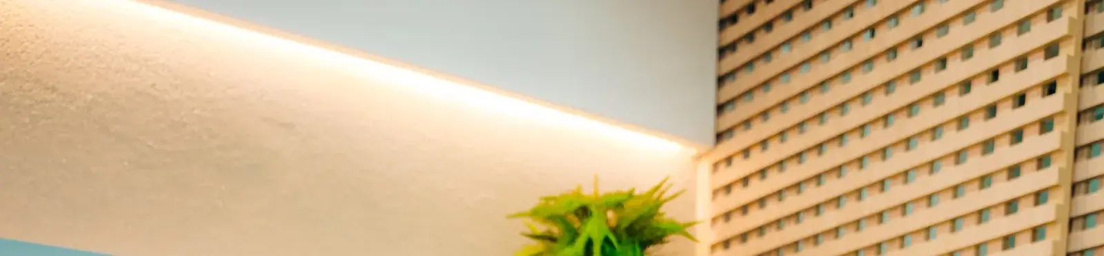 Parede com luz indireta, samambaia e painel ripado de madeira clara