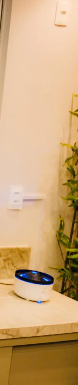 Bancada de mármore com difusor de aroma e planta